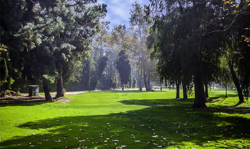Los Feliz golf fairway from trees 