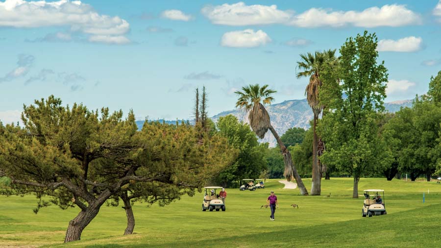 View of golf course with trees and players on golf course with cart